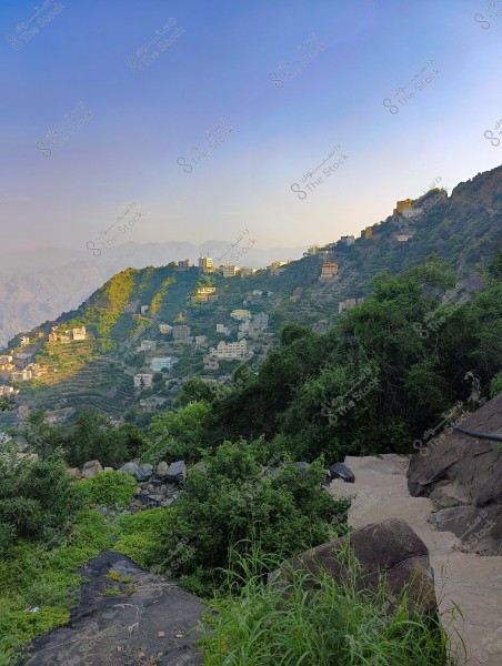 A scenic view of a mountainous village in Saudi Arabia, displaying green hills covered with terraced houses across the mountain slope. The buildings are scattered across the ridges, with a clear blue sky in the background. Trees and lush greenery fill the foreground, adding vibrancy to the overall scene.