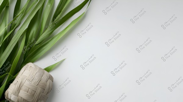 صورة تُظهر سلة صغيرة منسوجة من الأعشاب باللون البيج على خلفية بيضاء, مع مجموعة من الأوراق الخضراء الطويلة وضعت بجانب السلة بشكل مائل. التصميم بسيط وأنيق, يحتضن العناصر الطبيعية.