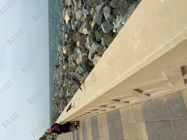 A woman stands on the pavement beside a low wall, gazing out at the sea. The wall is constructed of stone and concrete, overlooking a pile of rocks separating the pavement from the water. Several birds are perched on the wall, and the paving features interlocking colored tiles.