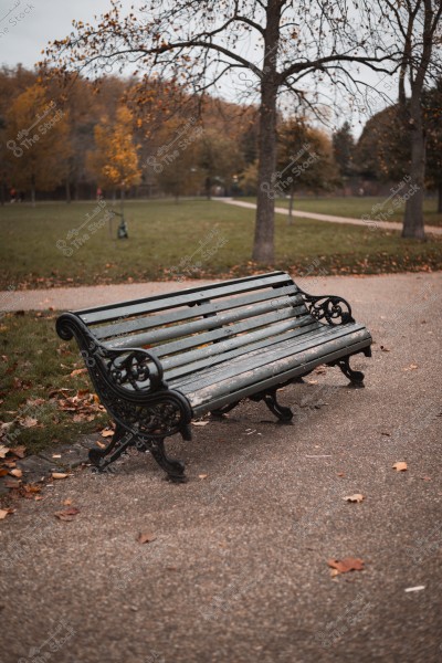 A wooden bench in a park during autumn, surrounded by trees with fallen leaves.