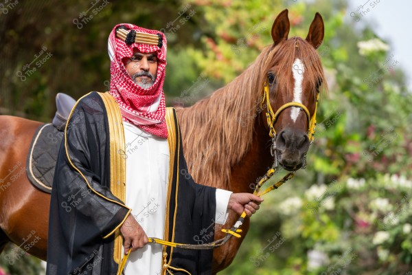 An image of a man wearing traditional Gulf attire, including a white thobe, a black bisht embroidered with gold, and a red shemagh with a black agal, standing next to a brown horse with a decorative yellow bridle, in a lush garden with trees and flowers.