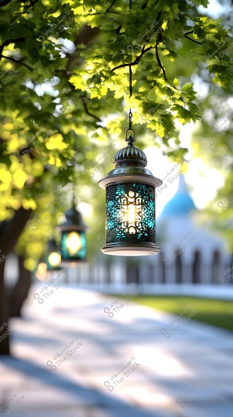 A lit lantern hanging from a tree with its light shining through intricate designs. In the background, there is a shaded pathway lined with trees, and a blurred blue dome is visible in the distance.