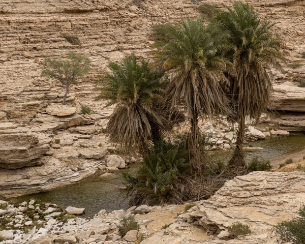 لقطة لاحد الاودية لسلسلة جبال طويق في منطقة نجد وتظهر السماء غائمة ، سلسلة من الجبال الصخرية ، تكوينات صخرية.