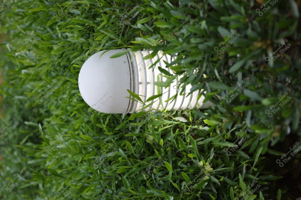 A white spherical garden lamp fixed in the ground surrounded by lush green plants. The leaves encircle the lamp, with light streaming through the branches, creating a striking contrast between light and shadow.