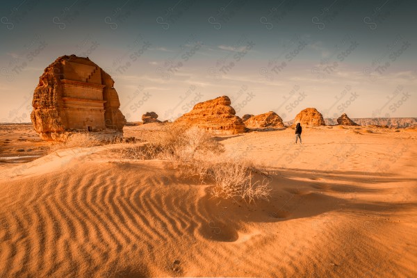 لقطة لقصر الفريد في محافظة العلا منازل منحوتة داخل الجبال ، مدائن صالح، أماكن سياحية في السعودية