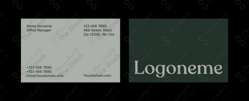 Modern business card design, company contact card, black and white two sides, personal card.