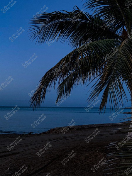 جمال الشروق على بحر ينبع