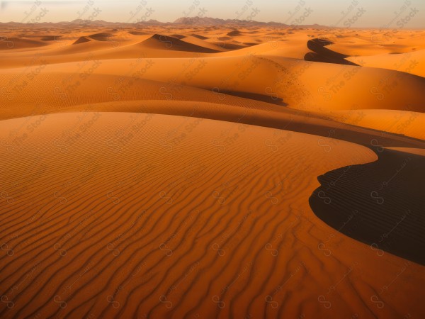 لقطة للكثبان الرملية الذهبية في الصحراء السعودية وتظهر السماء صافية  نهارًا ، الربع الخالي ، مناطق صحراوية، مصممة بواسطة الذكاء الاصطناعي.