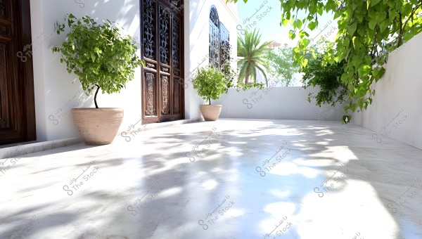 An image of an outdoor courtyard surrounded by a white wall with climbing green plants. The courtyard has a shiny marble floor with shadows of trees and large clay pots containing plants. There are intricately carved wooden doors on one of the walls, with a green palm tree visible in the background.