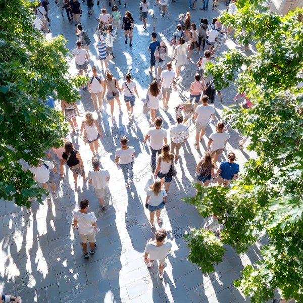 An image of a large group of people walking outdoors on a paved surface. Green trees surround the area, casting partial shadows on the ground. The people are wearing light summer clothing, such as t-shirts and shorts, suggesting a casual atmosphere. Natural light creates shadows on the pavement.