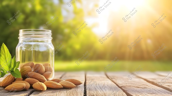 Image showing a glass jar filled with almonds on a wooden table outdoors. Green leaves add a lively touch to the scene. Soft sunlight fills the background, creating a bright and warm atmosphere.