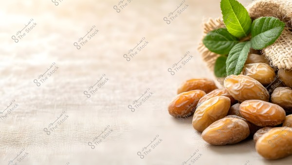 A picture of a collection of dates placed on a light-colored surface with a soft blurred background. The dates are shown with a shiny golden-brown color, decorated with some green leaves. The dates appear to be spilling out from a burlap sack.