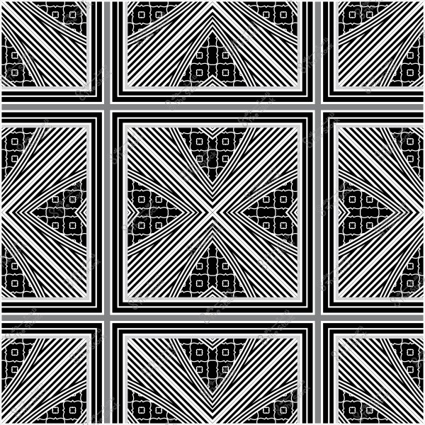 Geometric repeating design with intersecting white lines and floral patterns on a black background.