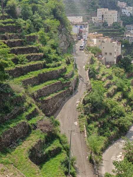 Image of a mountainous village showing houses built atop stone agricultural terraces on a hillside. The road curves around the green slopes, lined with dense trees and vegetation. Several cars are parked on the right side of the road. The houses are constructed in a traditional style with two or more stories and flat roofs. The weather appears sunny.