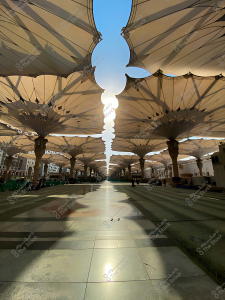 مظلات كبيرة تظلل ساحة في المسجد النبوي بالمدينة المنورة, مع ظهور الشمس بينها.