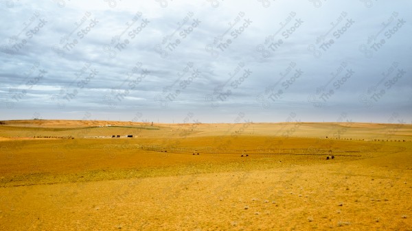 لقطة جوية للحقول والأراضي الزراعية الخضراء في منطقة الزلفي بالسعودية وتظهر السماء غائمة نهارًا ، النباتات الطبيعية الخضراء ، مزرعة حقول خضراء.