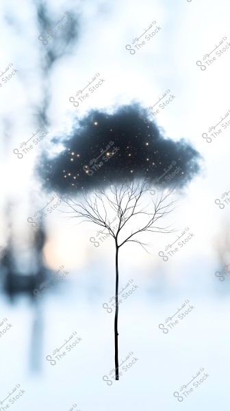 An image of a slender, leafless tree with branches reaching up into a dark cloud surrounded by glowing stars. The background is a soft, light blue blur creating a dreamy appearance.