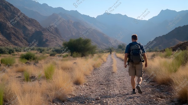 A person walking on a rocky path surrounded by green and dry vegetation. In the background, a range of towering mountains under a clear blue sky. The person is wearing a blue shirt, shorts, and carrying a large backpack.