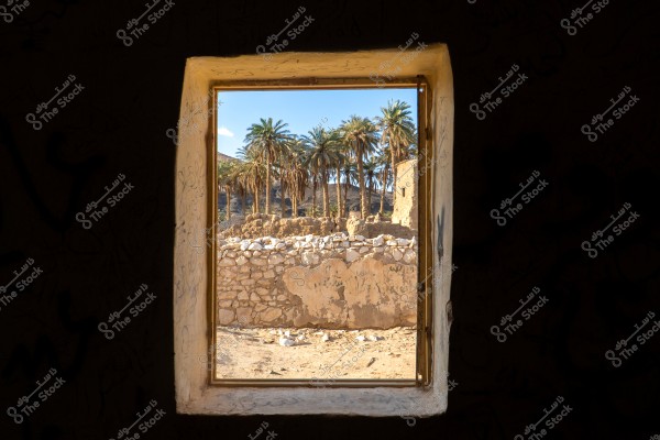 منظر يظهر من نافذة لجدار حجري قديم وأشجار نخيل في الخلفية, تحت سماء زرقاء صافية. الجدار يبدو متآكلًا بعض الشيء, مما يوحي بقدم المكان. الضوء الطبيعي يضيء المشهد الخارجي بينما يظل داخل الغرفة مظلمًا.