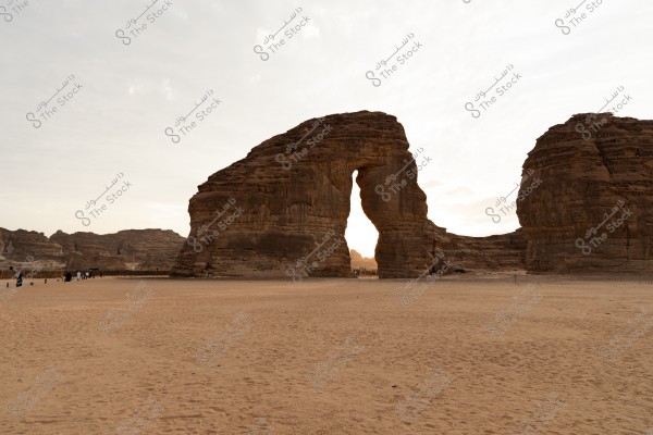 جبل الفيل هو تكوين صخري طبيعي يقع في محافظة العلا، المملكة العربية السعودية. يتميز بشكله الفريد الذي يشبه الفيل، ويعد واحدًا من أشهر المعالم السياحية في المنطقة. يحيط به مشهد صحراوي ساحر يعكس جمال الطبيعة السعودية، خاصة مع ألوان الصخور الرملية التي تتغير مع أوقات اليوم.