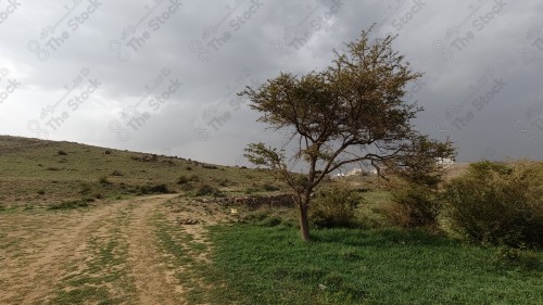 السماء و الغيوم المتفرقة تظهر فيها المباني والمعالم على مدينة أبها في المملكة العربية السعودية.