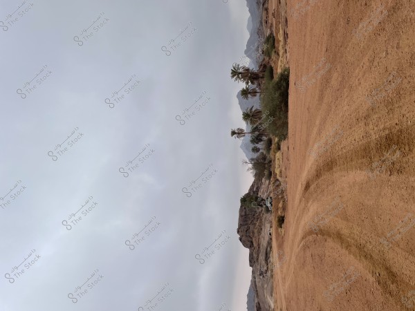 الحياة البريه