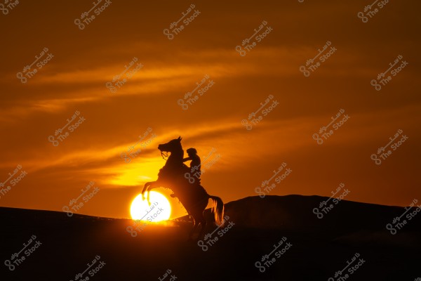 غروب الشمس الجميل على الكثبان الرملية الحمراء بالرياض بالمملكة العربية السعودية