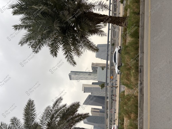 امطار الرياض ليلا ونهارا بجمال طرقها