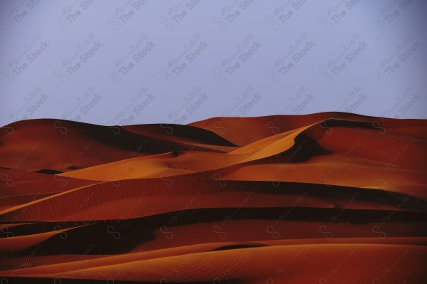 Shot of golden sand dunes in the desert of Saudi Arabia, the Empty Quarter, desert areas.