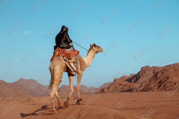 The image shows a person in dark clothing riding a camel in an open desert with a clear blue sky and mountains in the background. The camel is adorned with a colorful blanket, and the landscape suggests a traditional desert environment, possibly in the Arabian Peninsula.