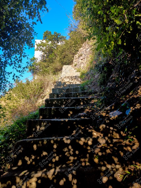درجات سلم حجرية قديمة وسط الطبيعة, محاطة بالأشجار والنباتات تحت ضوء الشمس.