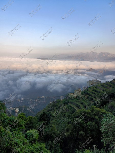 An image showcasing a stunning natural landscape from a mountaintop in Saudi Arabia, with dense clouds covering the plains and valleys below. On the right side of the image, there are green terraces and traditional stone buildings, reflecting local architecture. The horizon is filled with clouds fading into the blue sky.
