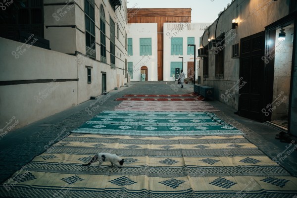 An image of a traditional alley adorned with rugs in various colors, including blue and red. In the foreground, a black and white cat walks across the rugs. The side buildings are stone with large wooden windows, featuring traditional architectural design. In the background, a person walks near a large door of a white building facade with green doors.