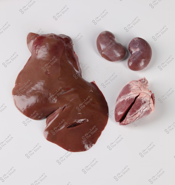 صورة تعرض أعضاء حيوانية على سطح أبيض. يظهر فيها كبد بني كبير, كليتين صغيرتين بنية اللون, وقلب مفتوح بضربات بسيطة من اللون الوردي والأحمر. الأعضاء مرتبة بحيث تكون واضحة في تفاصيلها وبريقها.