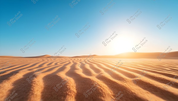 A landscape of a vast desert under a clear blue sky. The sandy terrain shows wavy lines indicating the wind\'s effect on the dunes. The sun is rising on the horizon, casting long, warm shadows on the sand.