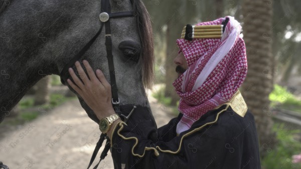 فارس سعودي يرتدي الزي السعودي التقليدي ممسك بخيل عربي اصيل في احد الاسطبلات، تعلم الفروسيه، ترويض الخيل، الخيل العربي الأصيل ، هواية ركوب الخيل.