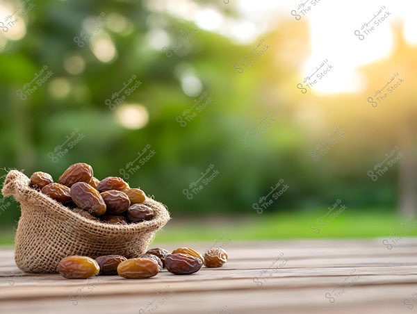A burlap sack filled with brown dates sits on a wooden surface, with some dates scattered around it. In the background, there is a blurred natural scene with warm sunlight and green hues.