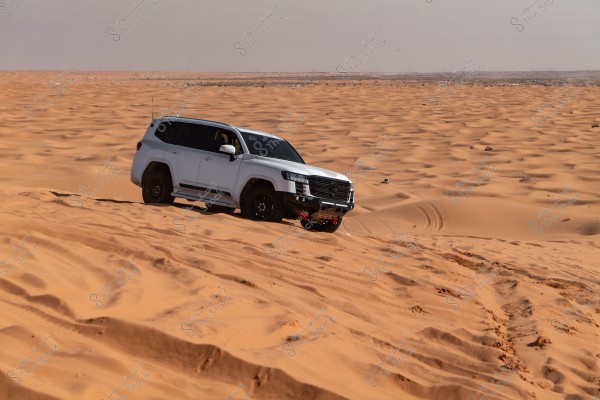 A white off-road vehicle navigating sandy dunes in a vast desert. The sky is clear, and the surrounding environment is arid and sandy, suggesting a safari or off-road driving experience in the desert.