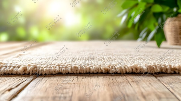 A beige rug on a wooden floor with a blurred background featuring green plants and sunlight.