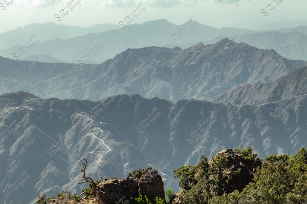 Image of a natural landscape featuring towering mountains extending into the horizon, with folds and curves on the rocky slopes. In the foreground, green shrubs and plants grow on the edge of the mountains.