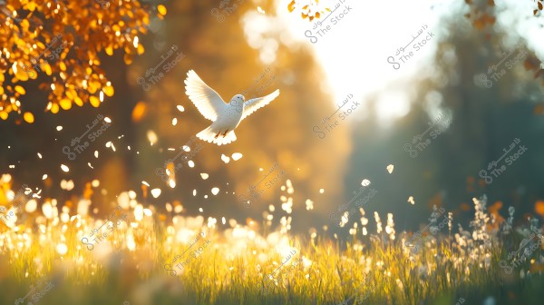 A white dove in flight, surrounded by scattered leaves, in a sunlit natural setting with a golden glow. The sky is clear in the background, with green foliage at the edges. The scene evokes peace and an autumn atmosphere.