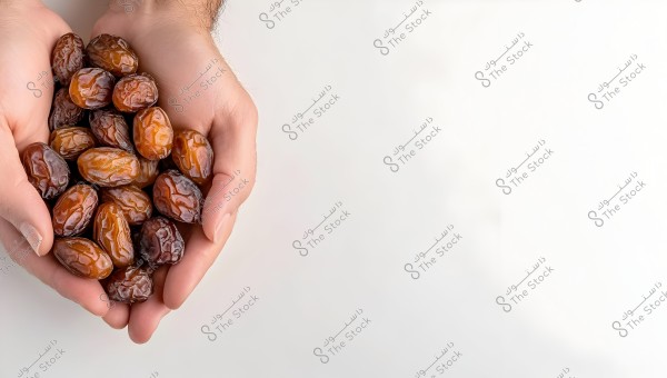 Image showing hands cupped together holding a collection of shiny brown dates. The background is white, which highlights the dates in the center of the image.