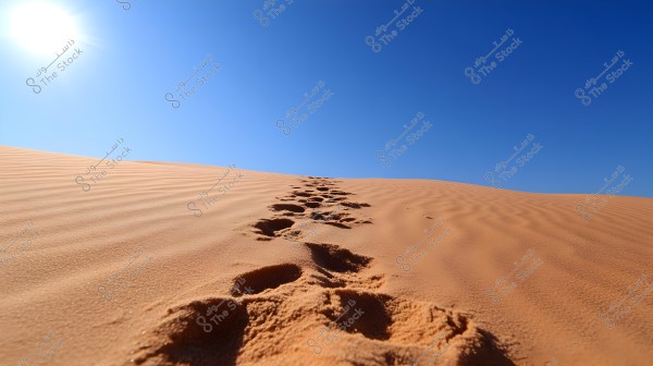 An image showing sand dunes in the desert under a clear blue sky with a bright sun. Footprints stretch across the soft sand, adding a sense of motion and adventure.