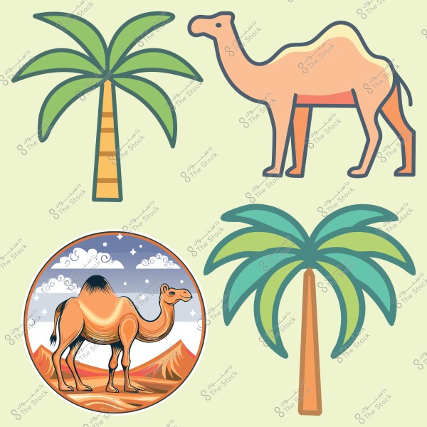 The image features illustrations of palm trees and camels on a light-colored background. There is an orange cartoon-style camel next to a palm tree. Additionally, a circular illustration depicts a desert scene with a camel and palm trees under a starry and cloudy sky.