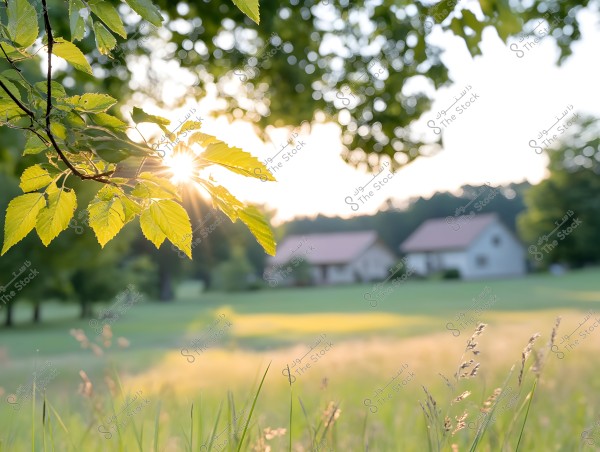 A natural scene showing sunlight filtering through green leaves hanging from a tree in the foreground. In the blurred background, there are several white houses with red roofs, surrounded by a wide green meadow and scattered trees on the horizon.