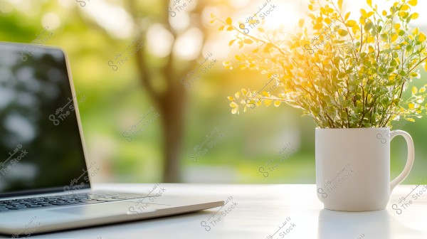 An open laptop placed on a table next to a white mug containing a small plant with green and yellow leaves. Bright sunlight and blurred trees appear in the background, depicting an outdoor daytime scene.