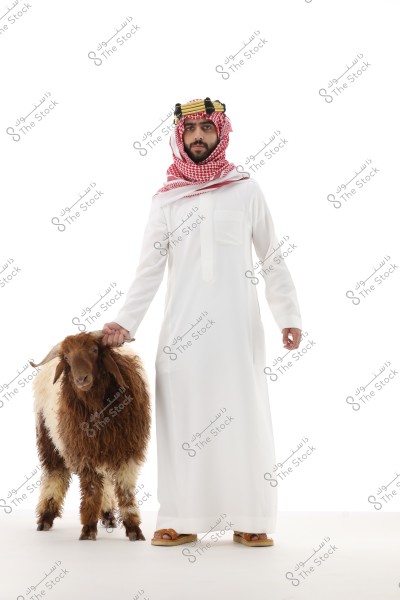 A man wearing traditional Saudi Arabian attire, including a white thobe, a headband, and a red-and-white keffiyeh. He stands next to a brown and white sheep against a white background. The image reflects Gulf culture.