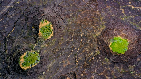 صورة جوية لمشهد طبيعي يعرض ثلاثة فجوات دائرية مملوءة بالنباتات الخضراء داخل منطقة صخرية داكنة. الأرضية الصخرية متشققة وتظهر ظلال مختلفة من البني والأسود, والتي تضيف تبايناً واضحاً مع اللون الأخضر داخل الفجوات.