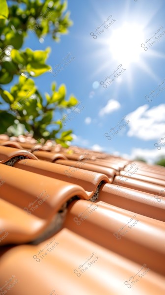 The image shows a dark brown tiled roof under a bright blue sunny sky, with green leaves on the left side. The sun is shining brightly, illuminating the entire scene.