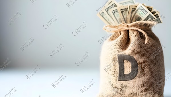 The image depicts a burlap sack containing bundles of dollar bills protruding from the top. The sack is marked with a large dark letter \"D\". The background is simple with light tones.